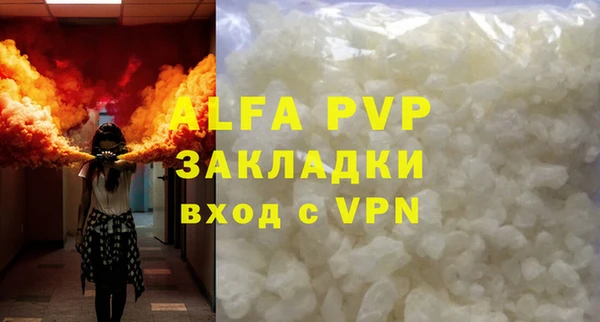 ПСИЛОЦИБИНОВЫЕ ГРИБЫ Переславль-Залесский