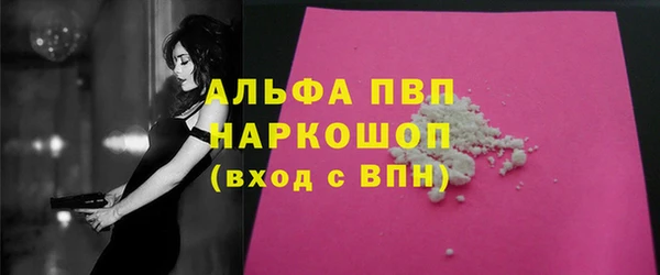 ECSTASY Пересвет