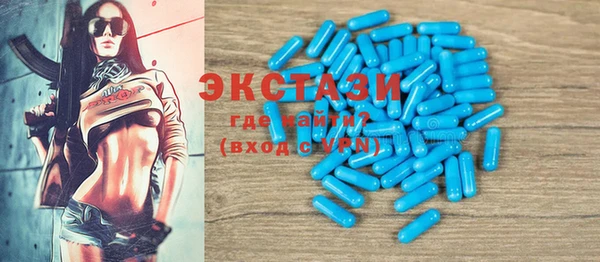 ECSTASY Пересвет