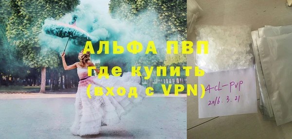 ECSTASY Пересвет