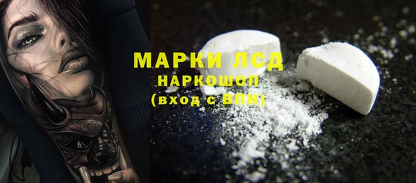 ECSTASY Пересвет