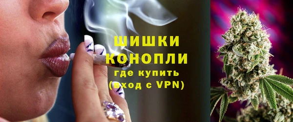 ECSTASY Пересвет