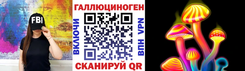 Галлюциногенные грибы Psilocybine cubensis  Ужур 